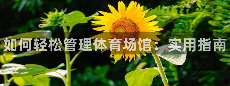 必一体育bsport下载