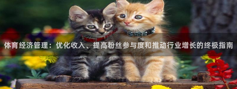 必一体育bsport
