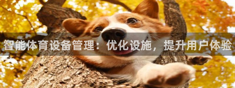 必一体育sportB体育