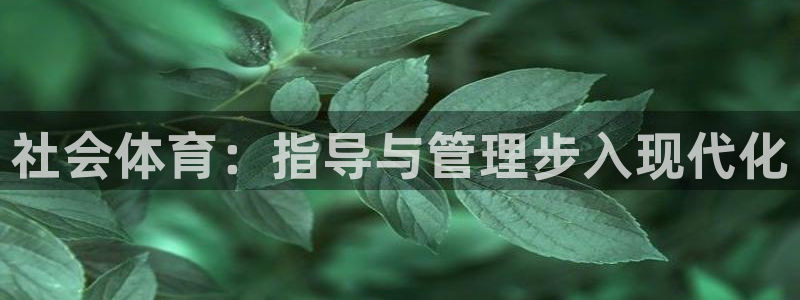 必一体育sport网页版