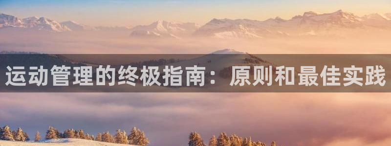 必一运动体