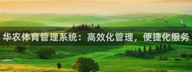 必一体育在线玩