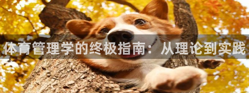 必一体育app官方