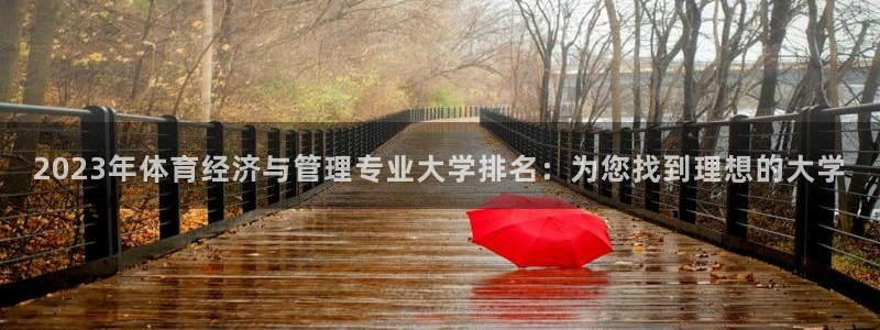 必一体育bsport下载