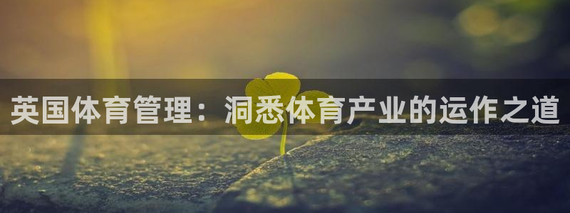 必一运动sport爱查股