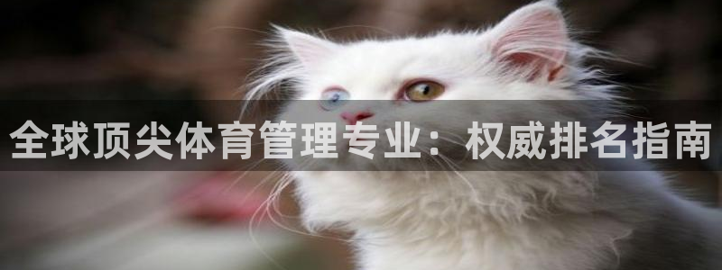 必一体育网页