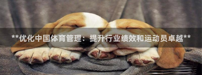 必一体育下载一样吗：