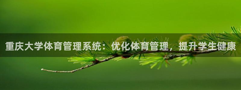 必一体育官方网站入口