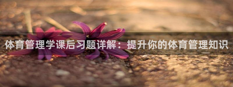 必一体育sport装