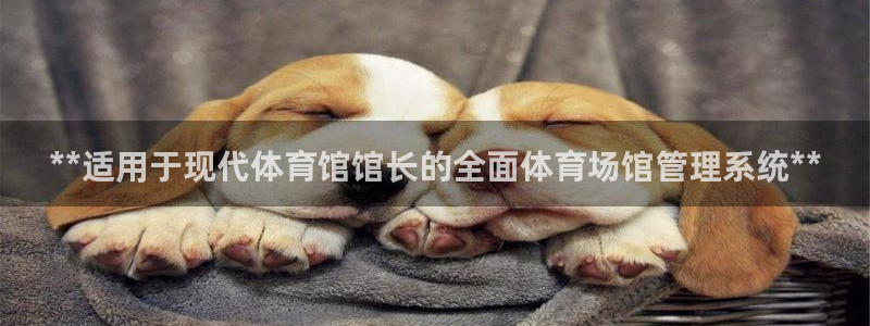 必一体育下载入口：*