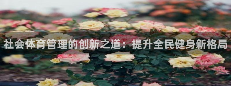 必一体育sport官方网站