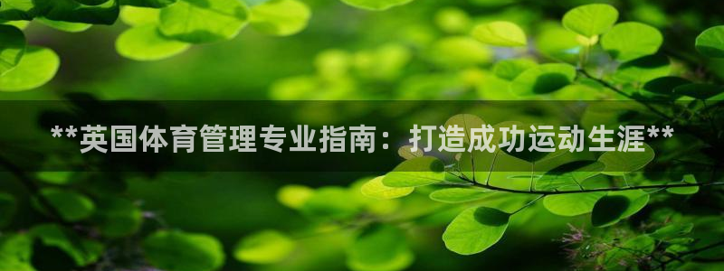 必一体育登录入口AP