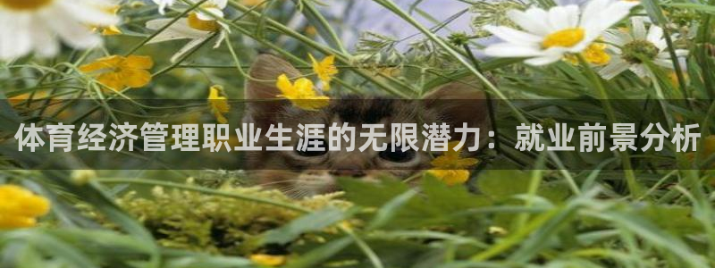 必一体育app下载：