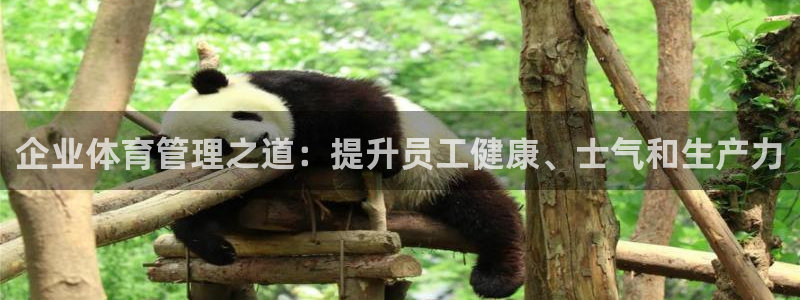 必一运动官网平台