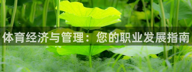必一体育app下载