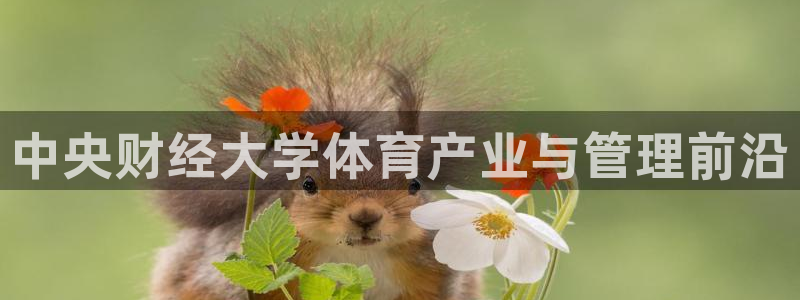 必一运动体育app