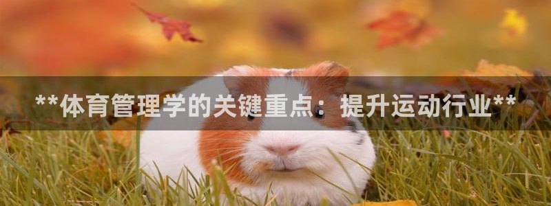 必一运动·(B-sp