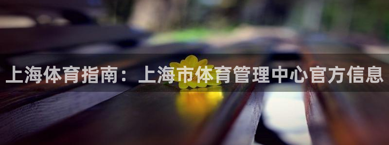 必一体育运动app下