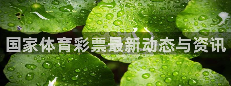 必一体育合法吗