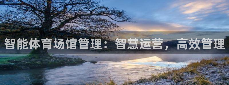 必一体育游戏特色：智
