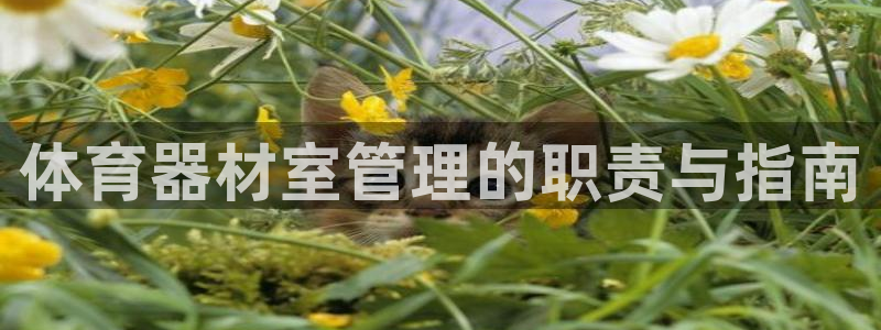 必一体育app官方下