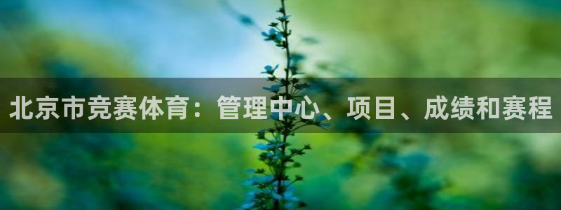 必一运动：北京市竞赛