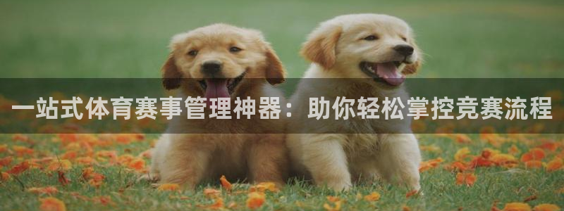 必一体育服下载最新版本更新内容