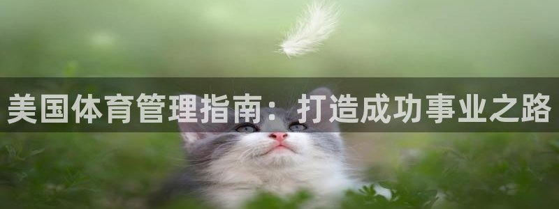 必一体育最新官网入口首页