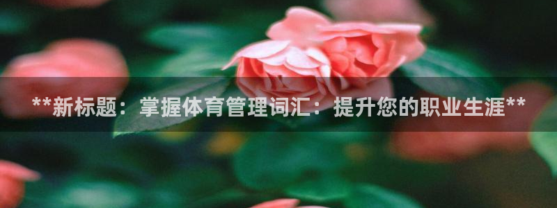 必一体育全站在线登录