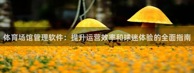 必一体育app下载最