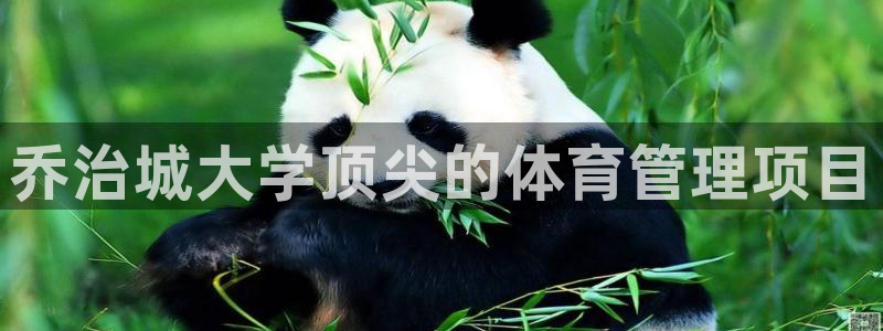 必一运动官网：乔治城