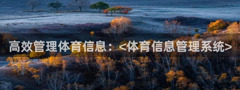 必一体育运动app
