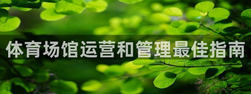 必一运动·(B-Sports)土豆