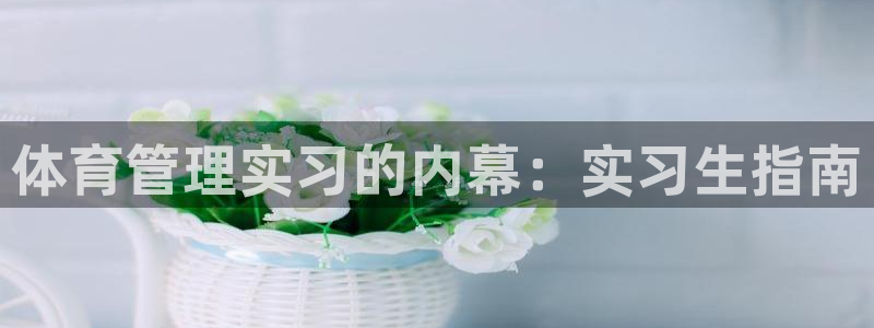 必一体育是哪里的台子