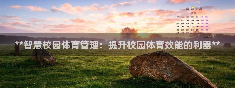 必一体育登录：**智