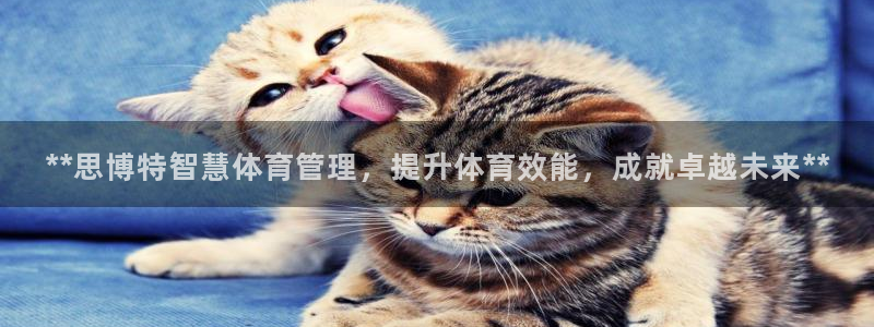 必一体育app官方下载