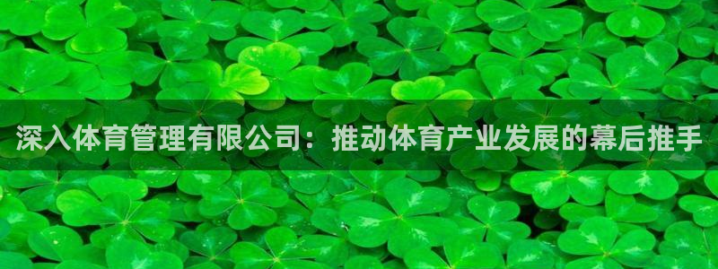 必一体育