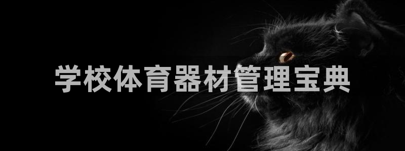 必一体育官网网址