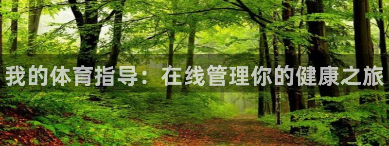 必一体育网页登录版官