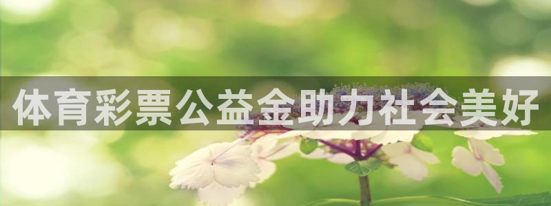 必一运动官网入口