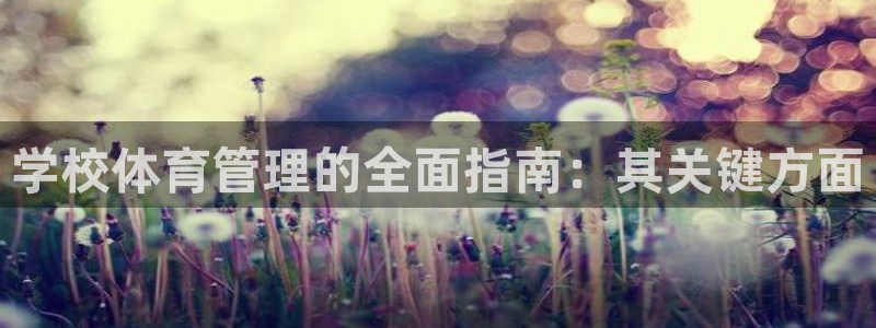 必一体育官网app：