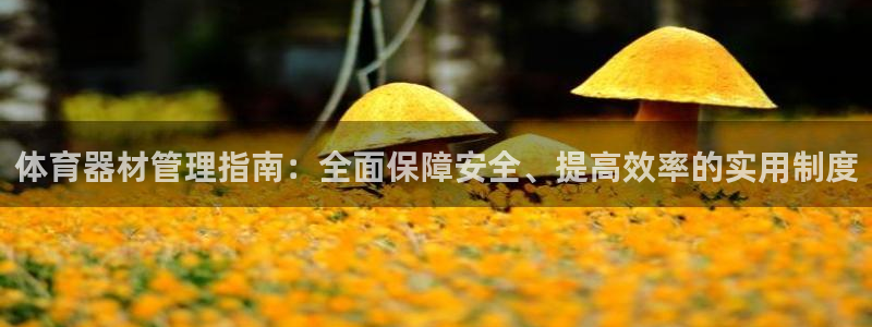 必一体育APP下载安装