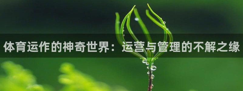 必一体育APP下载安装