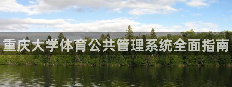 必一体育手机下载