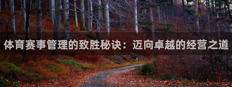 必一体育在哪下：体育
