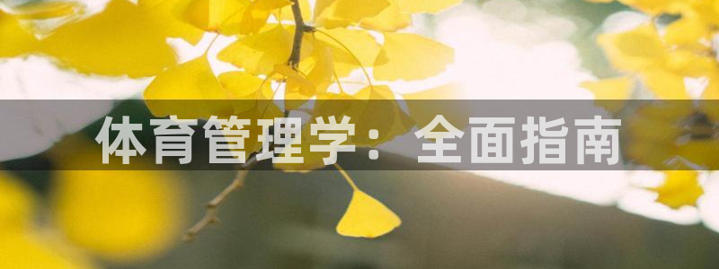 必一体育登陆