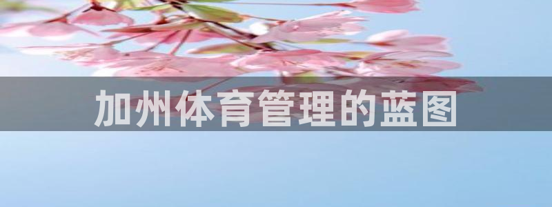 必一体育官方网站入口