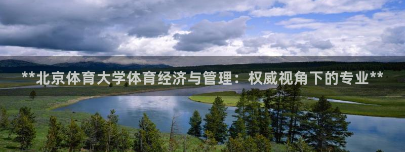 必一体育sport网