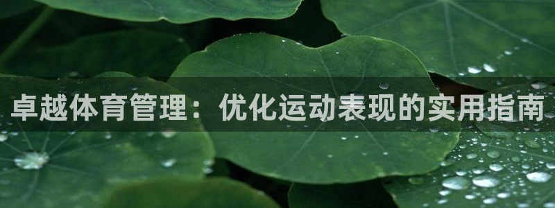 b体育必一下载