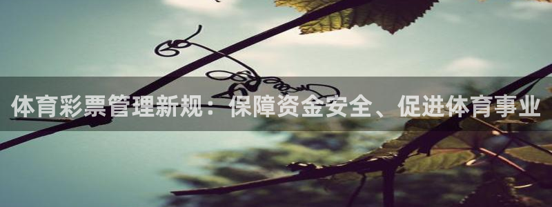 必一体育app官方下
